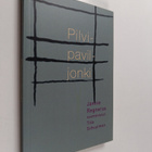 Jannie Regnerus : Pilvipaviljonki - pikkukuva 1