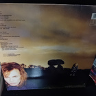 2LP Julian Cope : peggy suicide ( SIS POSTIKULU ) - pikkukuva 2