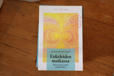 Sanni Nevalainen Enkeleiden matkassa Miten etenet omalla #6