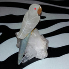 Papukaija Kristalli pöytäkoriste lintu koriste - pikkukuva 4