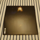Birdy – Beautiful Lies 2lp orig 2016 nm/vg+  rare! - pikkukuva 3