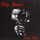 Big James & The Chicago Playboys: Funkin' Blues - pikkukuva 1
