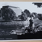Tampere, Koskipuisto, Joutsenveistos, vkpk, ei p. - pikkukuva 1