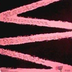 KEZ  ::  BLACK ANGEL  ::  VINYYLI    MAXI  12"     1986 - pikkukuva 2