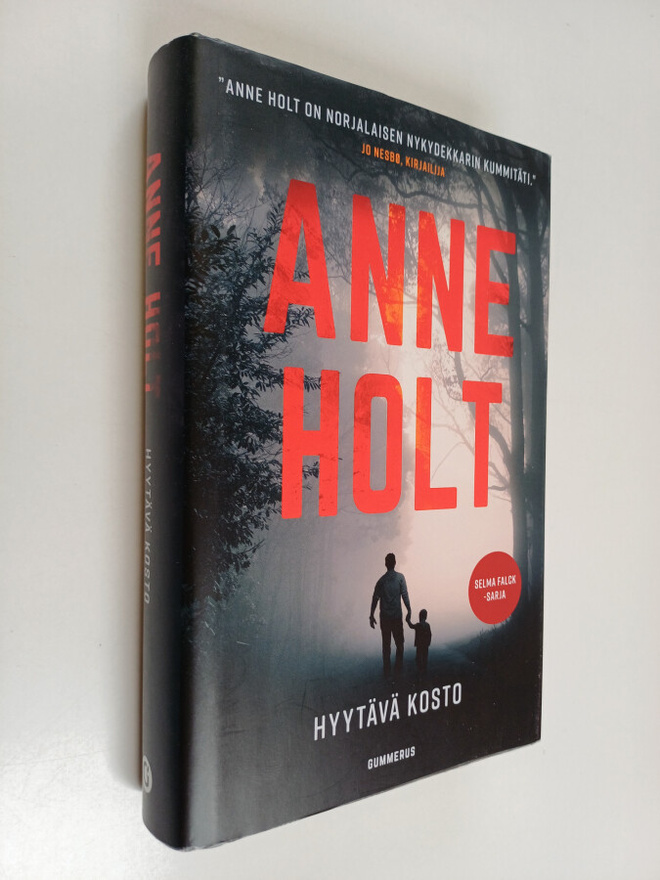 Anne Holt : Hyytävä kosto