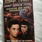 Star Trek DS9 # 20: Wrath of the Prophets (David, Peter) - pikkukuva 1