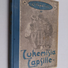 Zacharias Topelius : Lukemisia lapsille 6 - pikkukuva 1