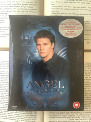 Angel: Season One DVD Collection (6 DVD)