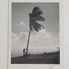 Stephen Nichols : A Chronological History of Key West - A... - pikkukuva 2