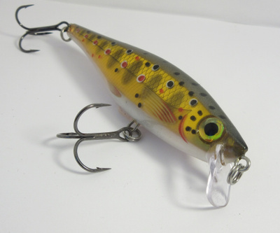 Rapala BX minnow 10cm