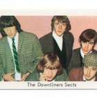 Purkkakuva THE DOWNLINERS SECTS - pikkukuva 1