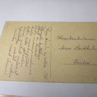 Federley Sanny np 1921 - pikkukuva 2