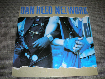 LP vinyyli Dan Reed: Network