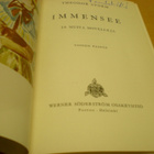 Theodor Storm: Immensee ja muita novelleja - pikkukuva 2