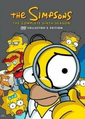 Simpsonit - Kausi 6 (DVD)