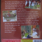 Viiru & Pesonen paketti 3DVD - pikkukuva 2