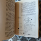 Manner - Tervo: Lapin geologia - pikkukuva 1