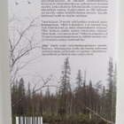 Tanja Äärelä : "Aika palijon vaikuttaa minkälainen ilime ... - pikkukuva 2