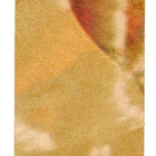 Purkkakuva THE SIX MILLION DOLLAR MAN Purukumikuva - pikkukuva 2