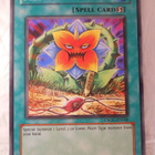 Yu-Gi-Oh loitsu Seed of Deception - pikkukuva 1