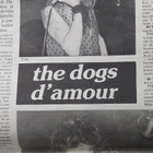 Rumba - 1984 : The Alarm , The Dogs D'Amour - pikkukuva 3