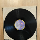 Hector Nuku Idiootti lp-levy - pikkukuva 4