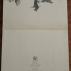 Queen - II - pikkukuva 3