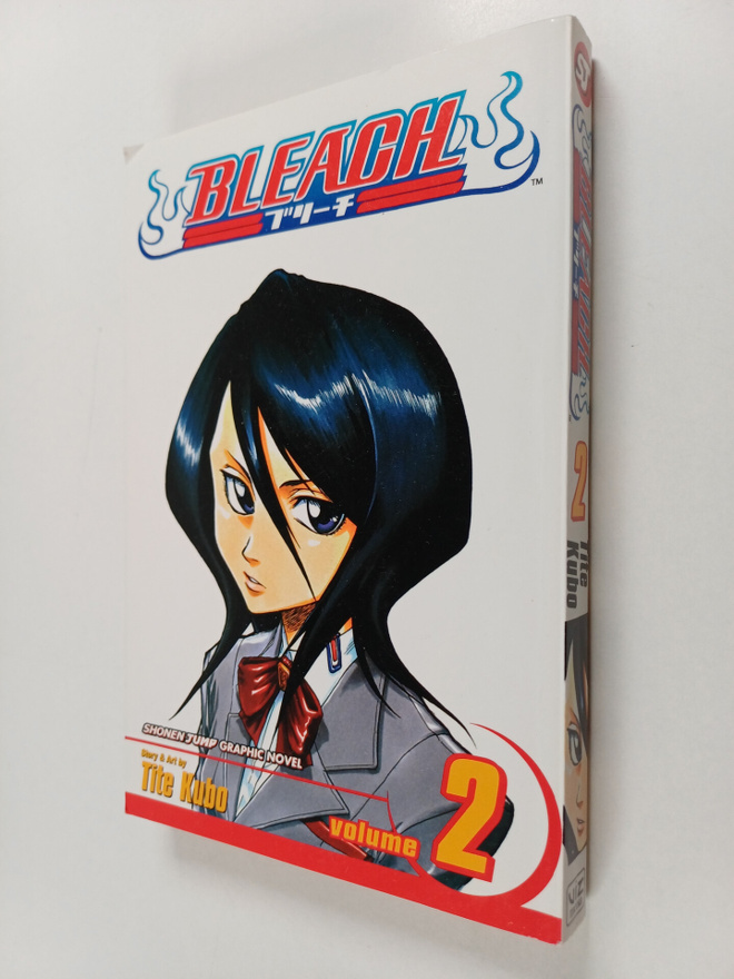Tite Kubo : Bleach, Vol. 2 - Goodbye parakeet, good night...