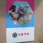 CCCP: taskukalenteri 1974 - tyttö ja kukkapuska - pikkukuva 1
