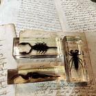 Harvinainen Darwin – hyönteiskokoelma ISO - pikkukuva 4