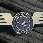 Ilmailu merkki Lufthansa. Halkaisija - 82mm. - pikkukuva 1