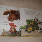 Bourguignon - Derullieux Riitta - pikkukuva 3