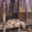 Kissa nukkuu wisterian alla - pikkukuva 1