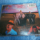 LEEVI AND THE LEAVINGS - RAKKAUDEN PLANEETTA - CD - pikkukuva 2
