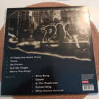 Dog Eat Dog - All Boro Kings 2021 LP. Tehdasmuoveissa - pikkukuva 2
