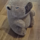 Capybara pehmolelu (#3487) - pikkukuva 2