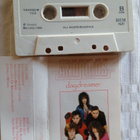 C- KASETTI: JOHNNY LEE MICHAELS AND TH ANDROIDS : DAYDREAMER - pikkukuva 1