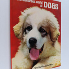 David Gibbon : The wonderful world of dogs - pikkukuva 1