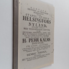 Henricus Forsius : Historiallinen ja ekonominen selonteko... - pikkukuva 1