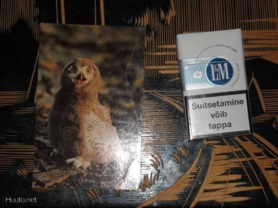 Tunturipöllö #224#