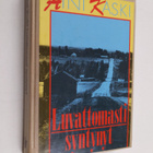Aini Kaski : Luvattomasti syntynyt - pikkukuva 1