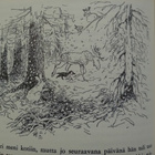 Peukaloisen retket villihanhien seurassa - Selma Lagerlöf - pikkukuva 4