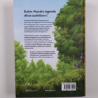 Stephen R. Lawhead : Kuningas Korppi - pikkukuva 2