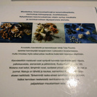 Keittokirja Kasviskeittiö - pikkukuva 2