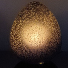 Gustaf, egg lamppu - pikkukuva 2