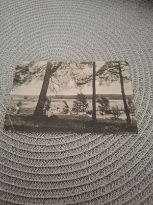8Z Loviisa Boulongen metsä