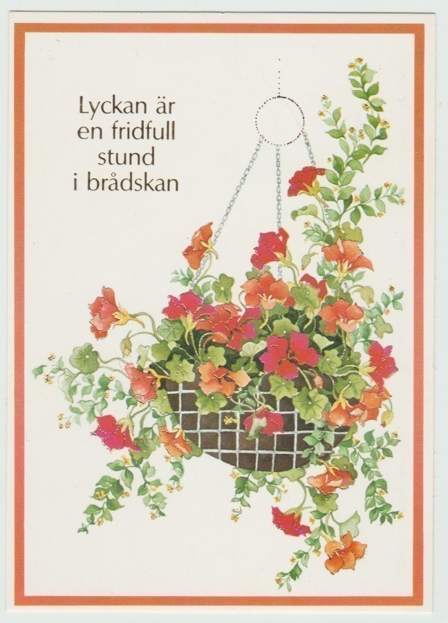 **   " Lyckan är en fridfull stund i brädskan  "