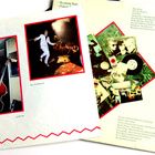 STRAY CATS - LP ORIG. 1981 - pikkukuva 3