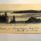 Salo Wuorentaasta - 1904 - pikkukuva 1