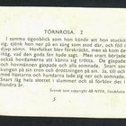 ALE - MLP 985 - Satunelkku - Prinsessa Ruusunen 2 - pikkukuva 2